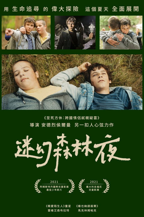 Nachtwald电影海报