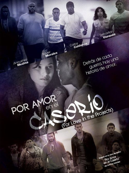 Por amor en el caserío poster 2