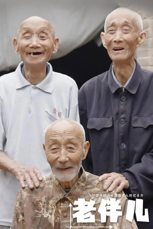 老伴儿电影海报