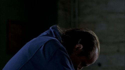 Prison Break - İngilizce, Fitz veya Percy