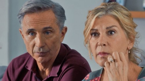 Jubilación: imposible (2019) Ver Pelicula Completa Streaming Online