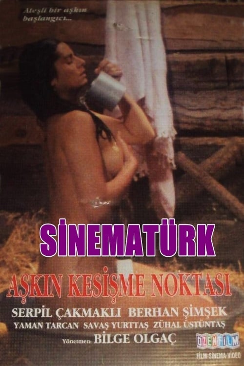 Aşkın Kesişme Noktası (1990) Watch Full Movie Streaming Online