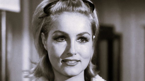 Give an Old Cat a Tender Mouse