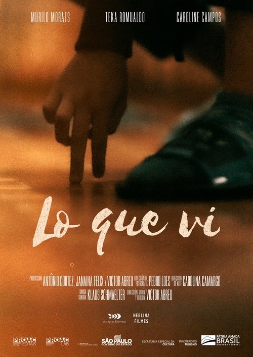 O Que Vi
