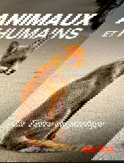 Wildnis 2.0 - Die Tierwelt auf Umwegen Poster
