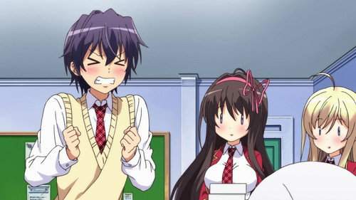 Kataomoi Otome / Kata Omoi Tome / Katahou Gay, Katahou Homo