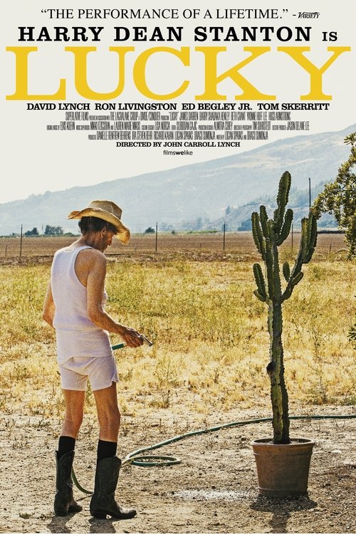 Lucky movie poster player