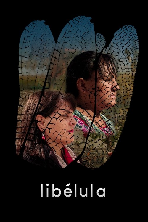 Libélula poster