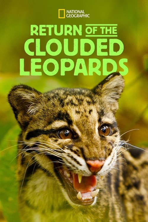 Return of the Clouded Leopards Poster