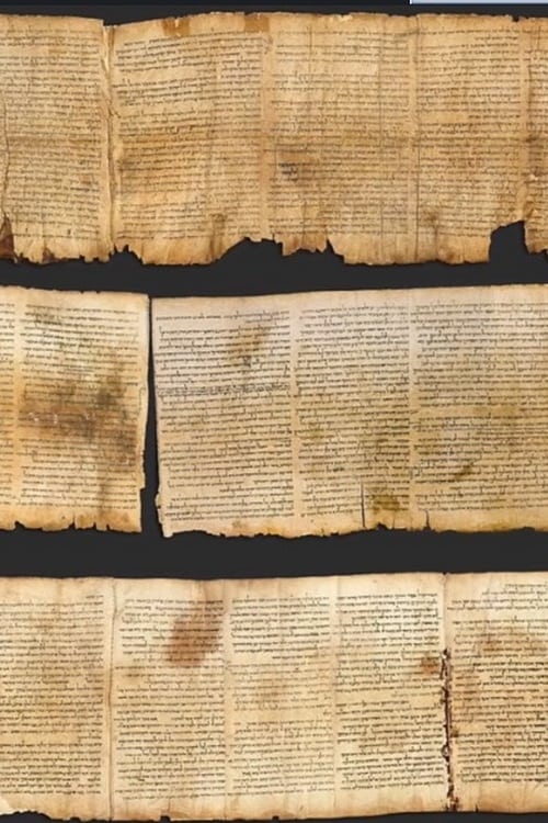 The Dead Sea Scrolls 2019