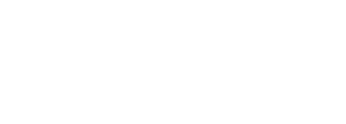 ZEBRA Logo