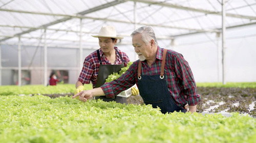 Family Farms