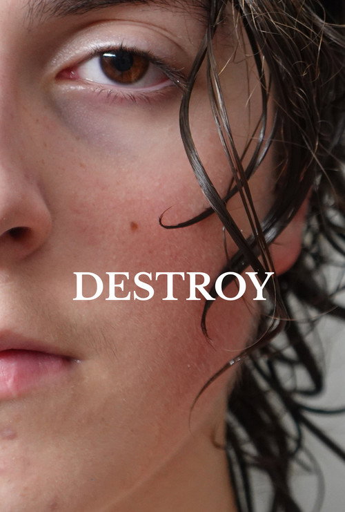 Destroy's poster