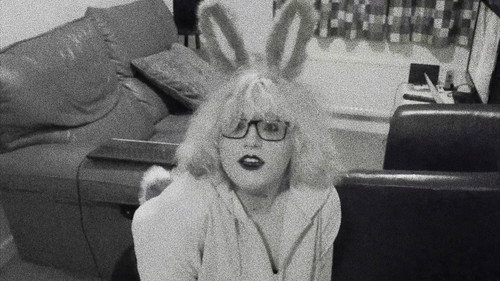 Pet Bunny
