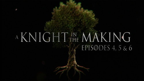 Episodes 4, 5, and 6
