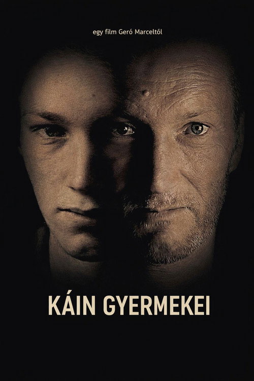 K&aacute;in gyermekei电影海报