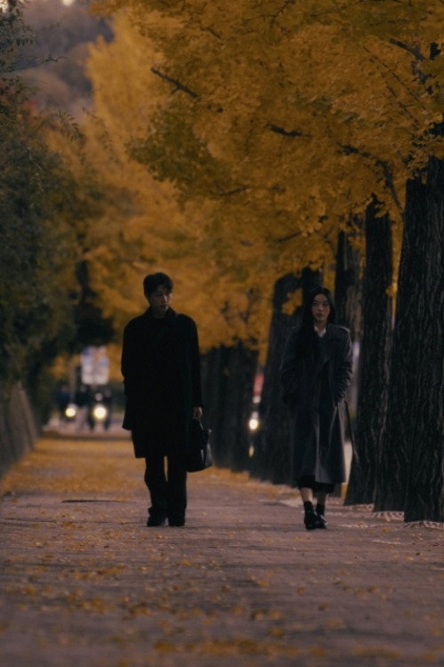 Late Summer Echoes of Love's poster