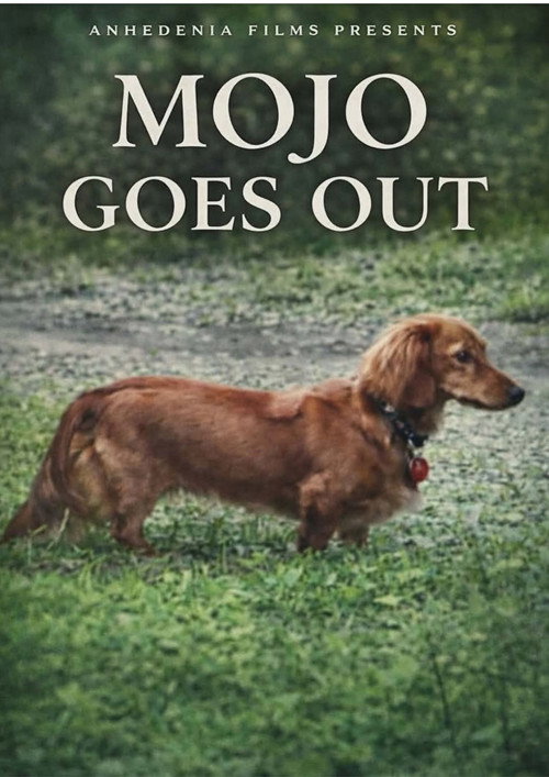 Mojo Goes Out电影海报