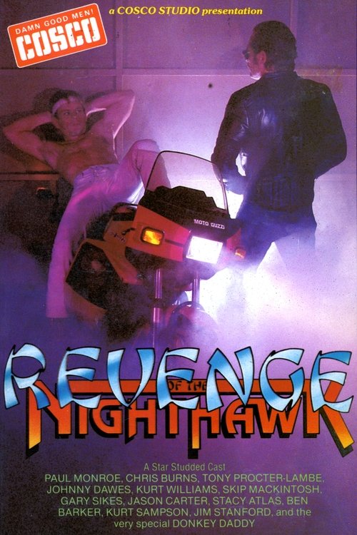 Revenge of the Nighthawk in Leather Poster