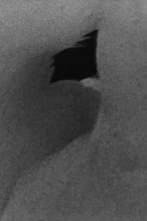 Swan 1986