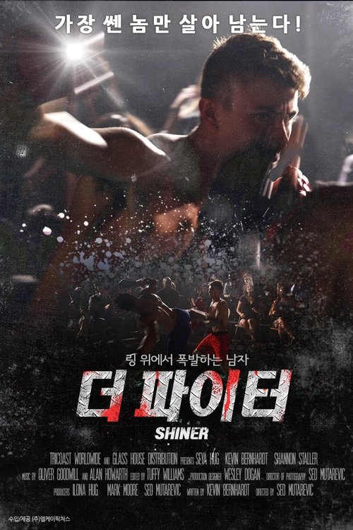 더 파이터(Shiner)