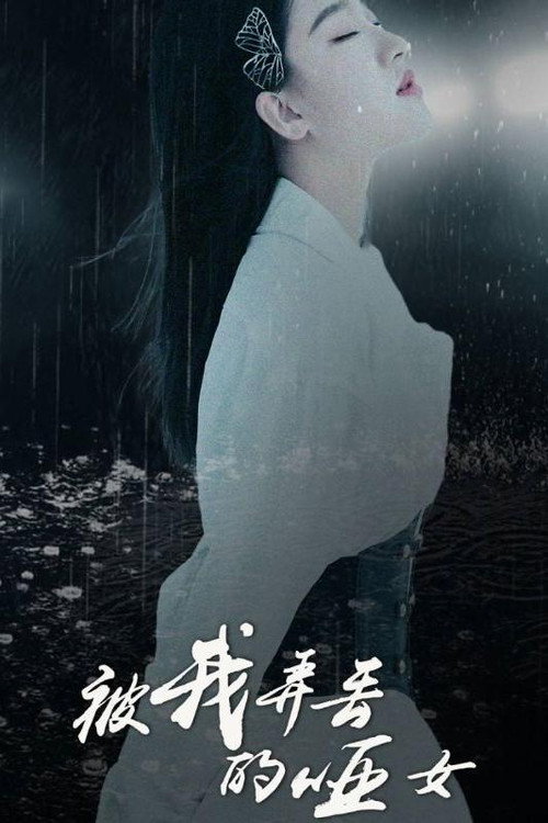 被我弄丢的哑女电影海报