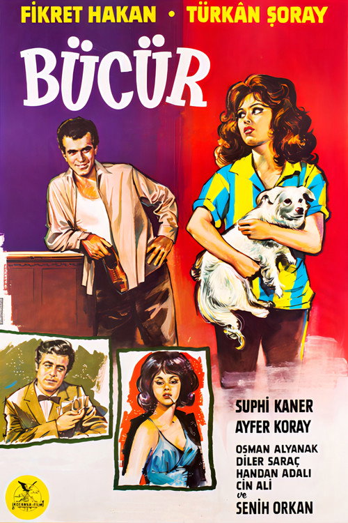 Bücür poster 2
