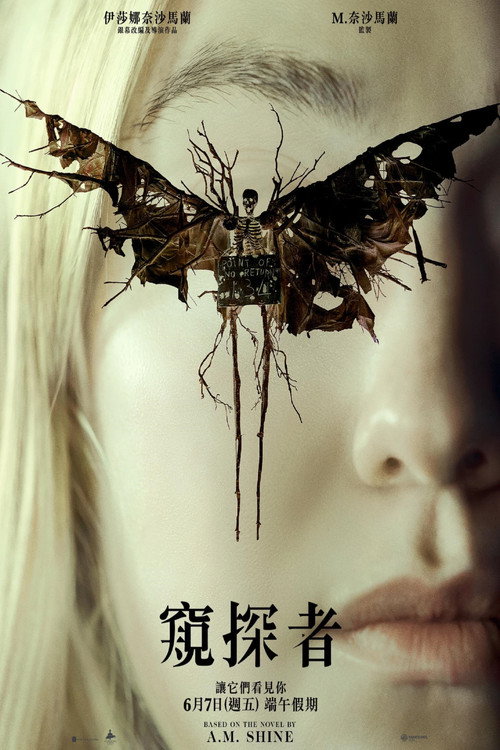 神秘窥视电影海报