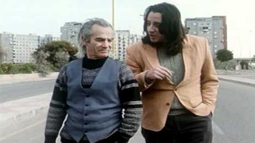 La volpe e l'ape (1996) Watch Full Movie Streaming Online