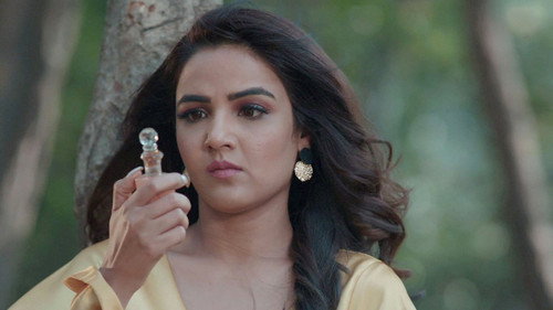 Will Nayantara's Plan Bear Fruit?