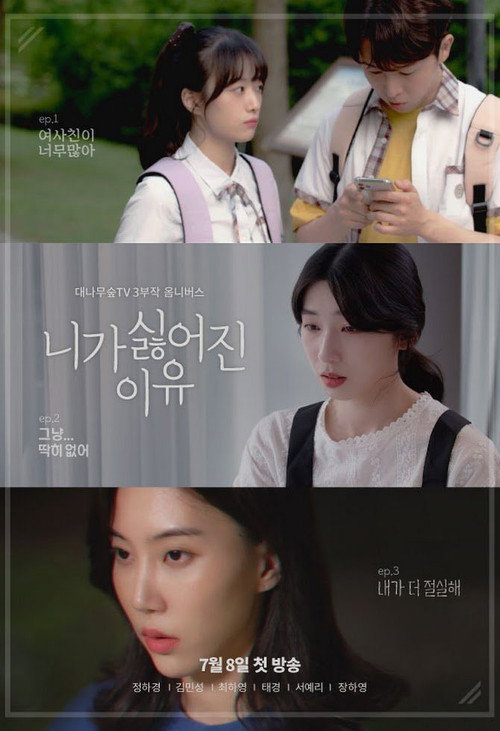 니가 싫어진 이유电影海报