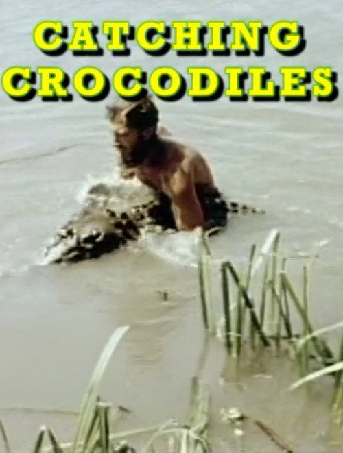 Catching Crocodiles电影海报