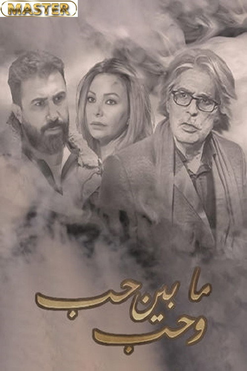 ما بين حب وحب电影海报