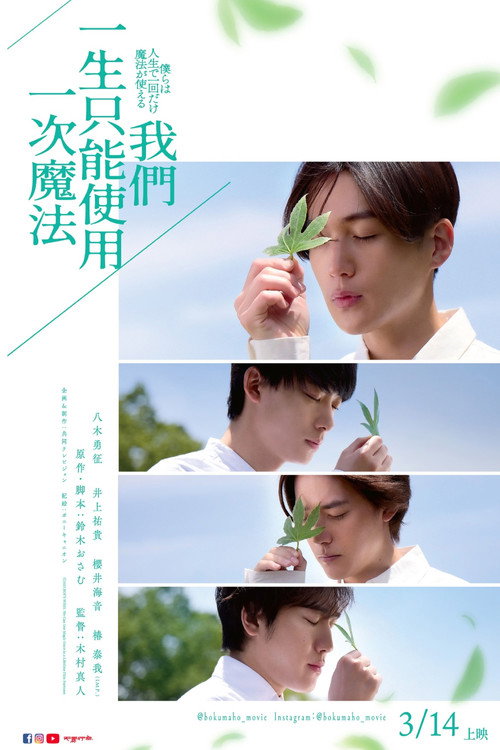 我们一生中只能使用一次魔法电影海报