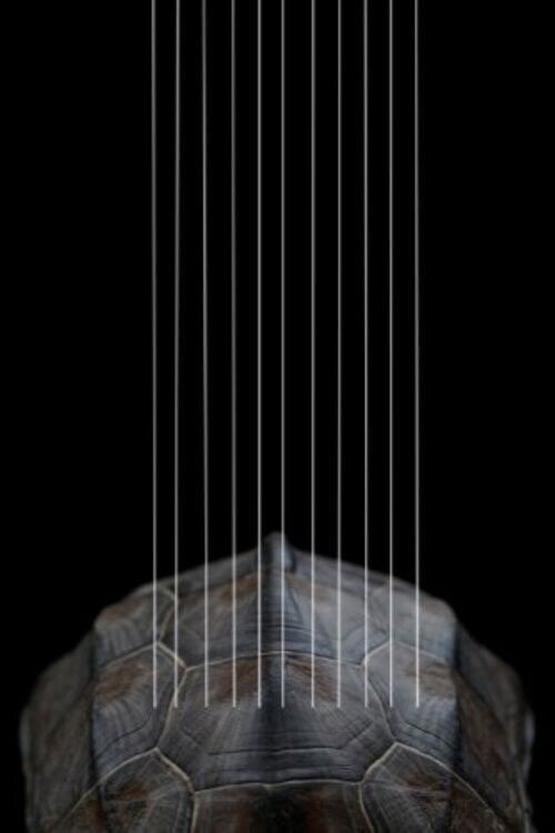 CONCERT FOR 2 KOR(E)AS