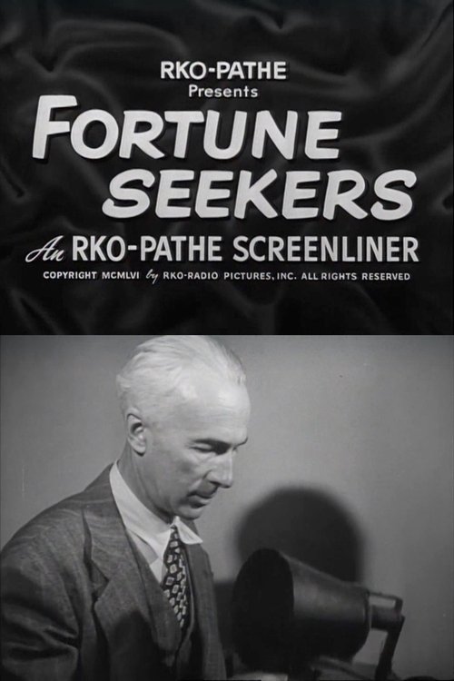Poster for Fortune Seekers