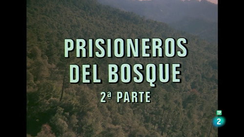 Prisoners of the Forest II