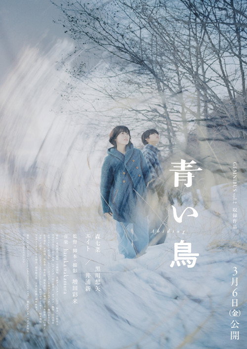 青い鳥 poster 2
