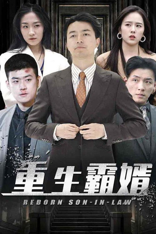 重生霸婿电影海报