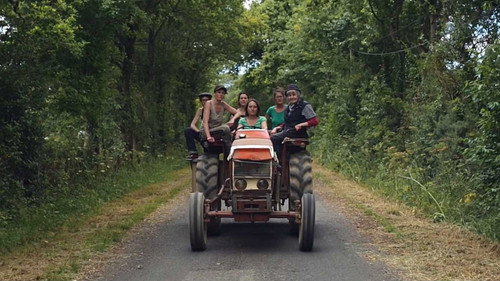 Backdrop