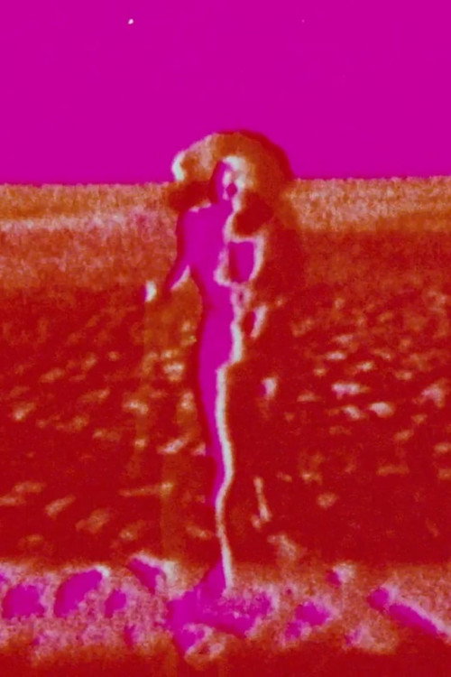 She poster 3