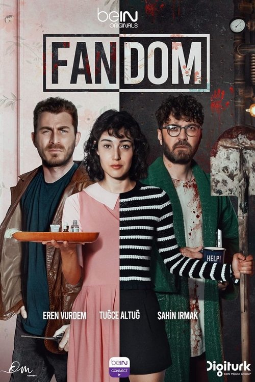 Background poster of Fandom blurred