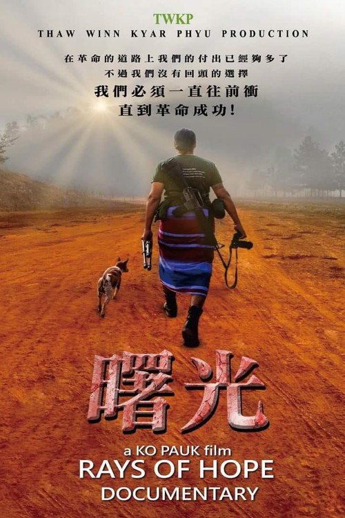 ရောင်နီလာရာလမ်း电影海报