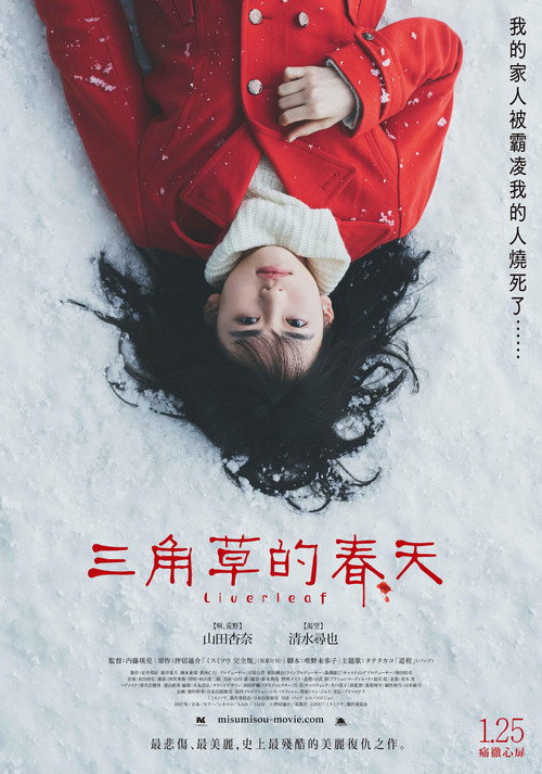 三角草的春天电影海报