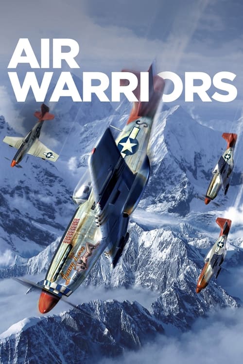 Poster of Guerreros del aire