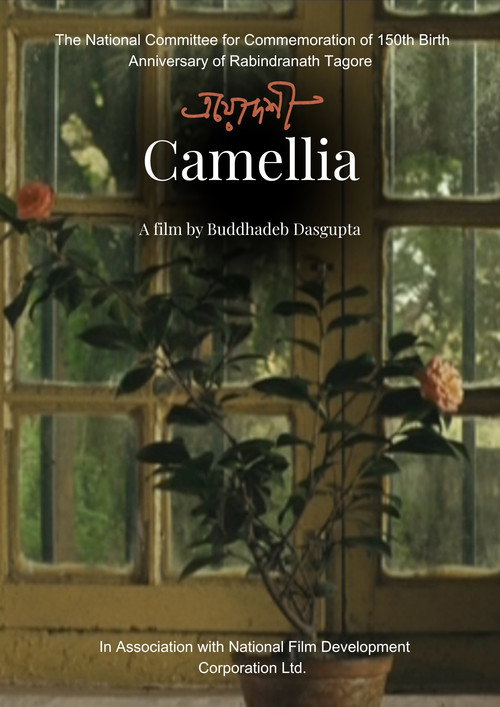 Camellia's poster
