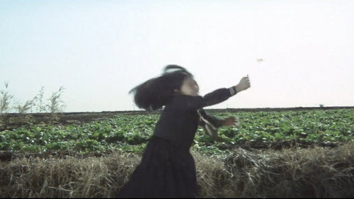 image25