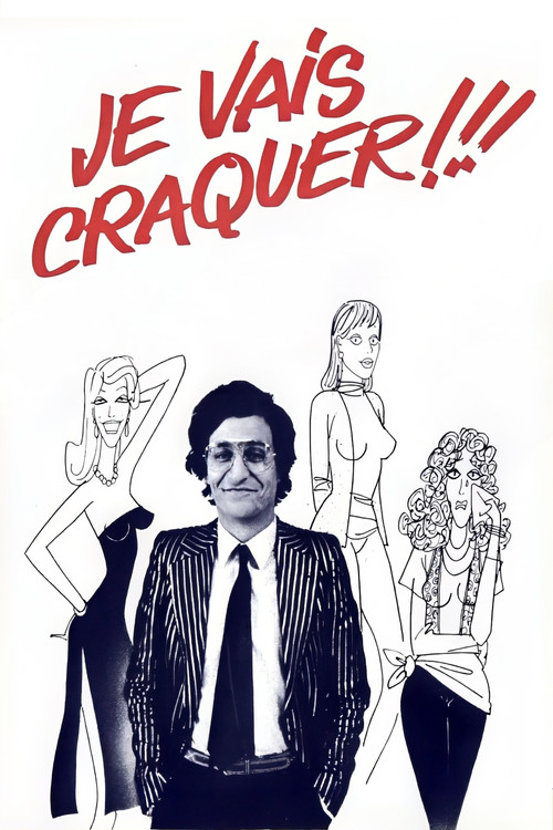 Je vais craquer !!!电影海报
