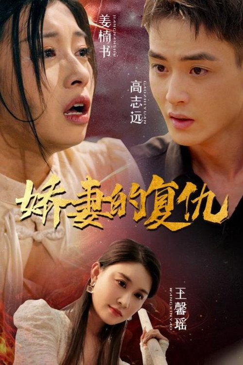 娇妻的复仇电影海报