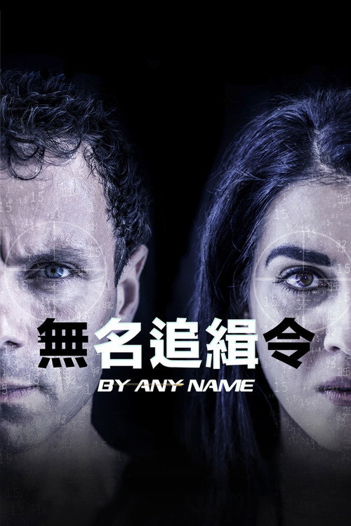 无名追缉令电影海报